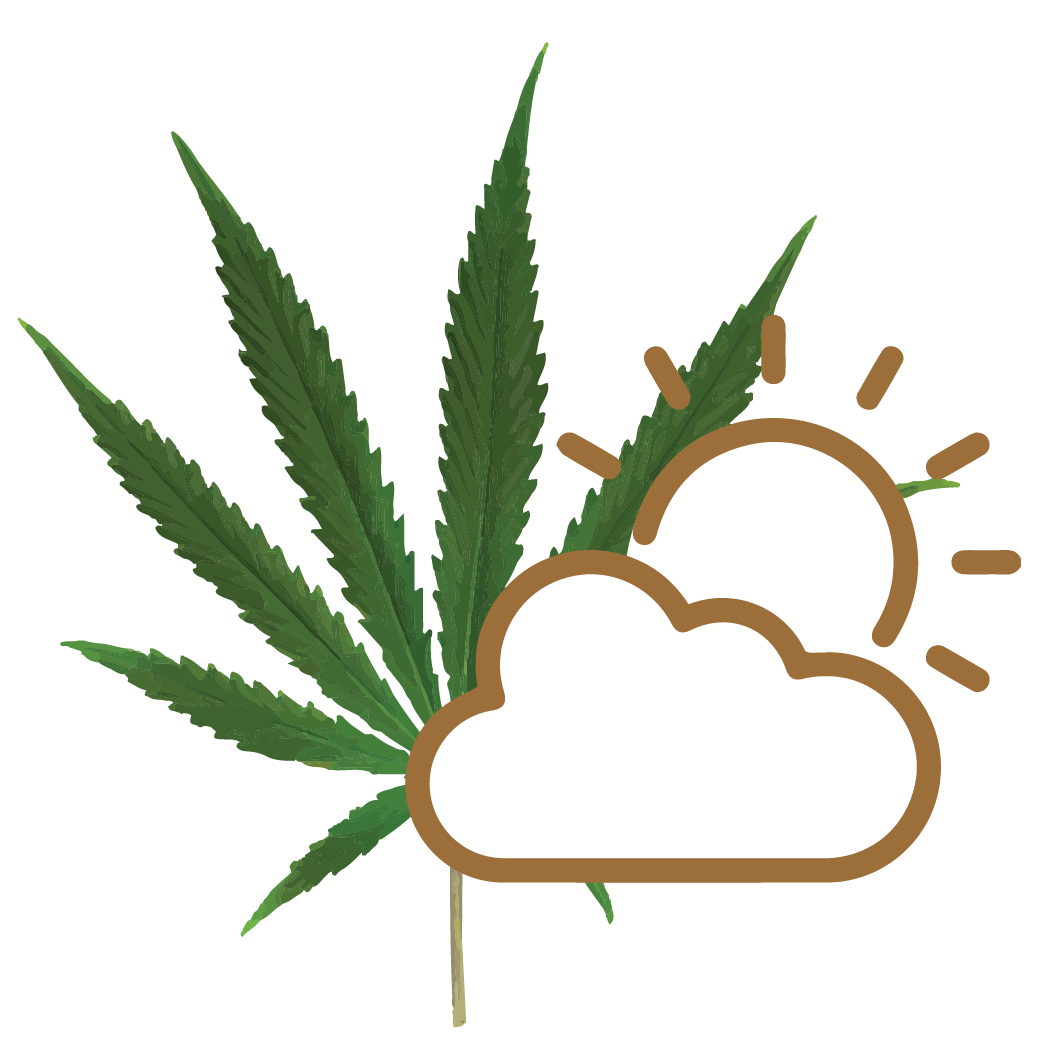 Icona di un sole nascosto parzialmente dietro una nuvolo con una foglia di cannabis light come sfondo